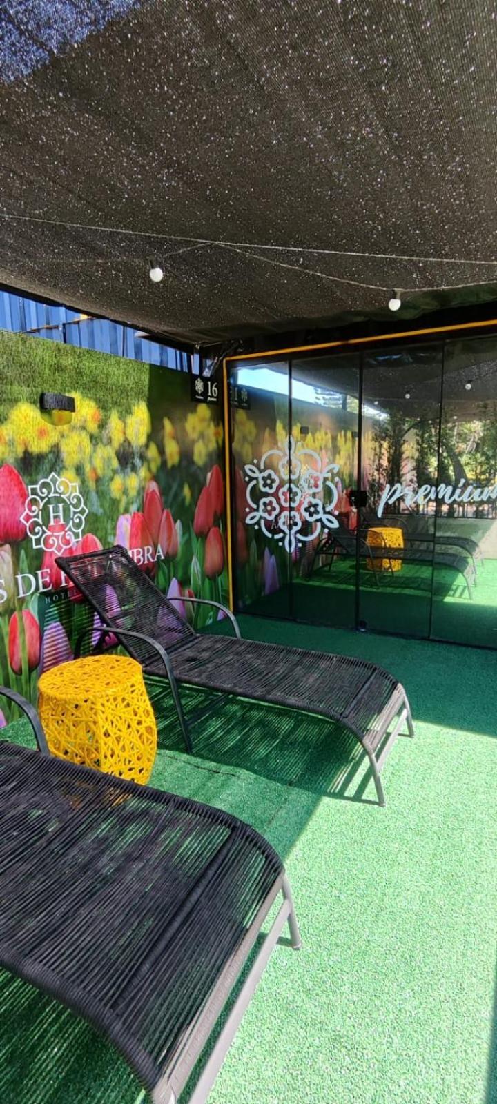 酒店 Flores De Holambra